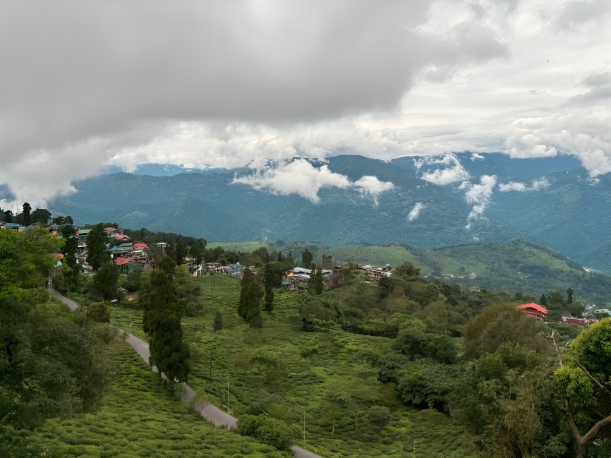 Tea garden backyard and misty mountain slopes at Bashera Mountain Stay